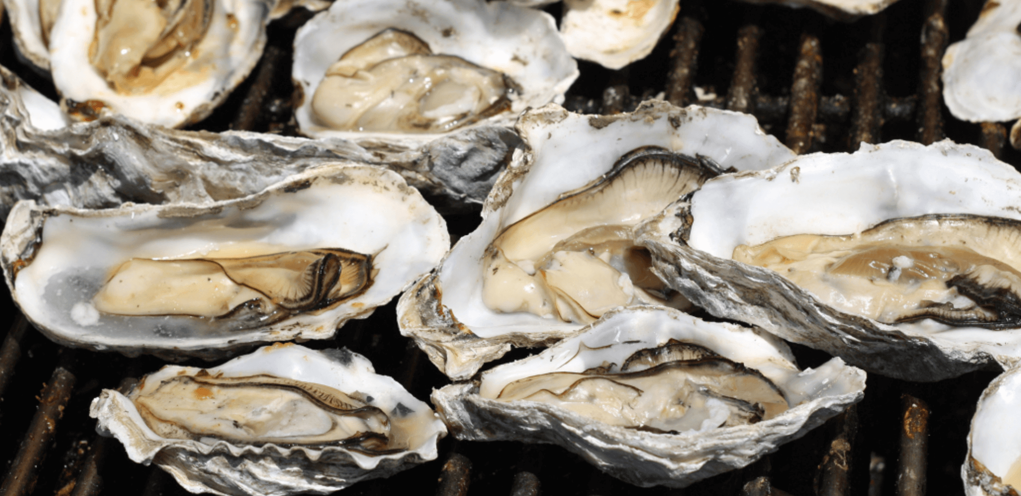 굴 노로바이러스