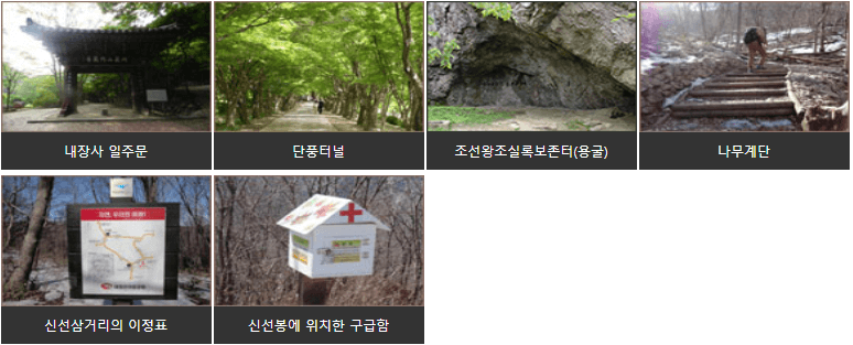 내장산신선봉
