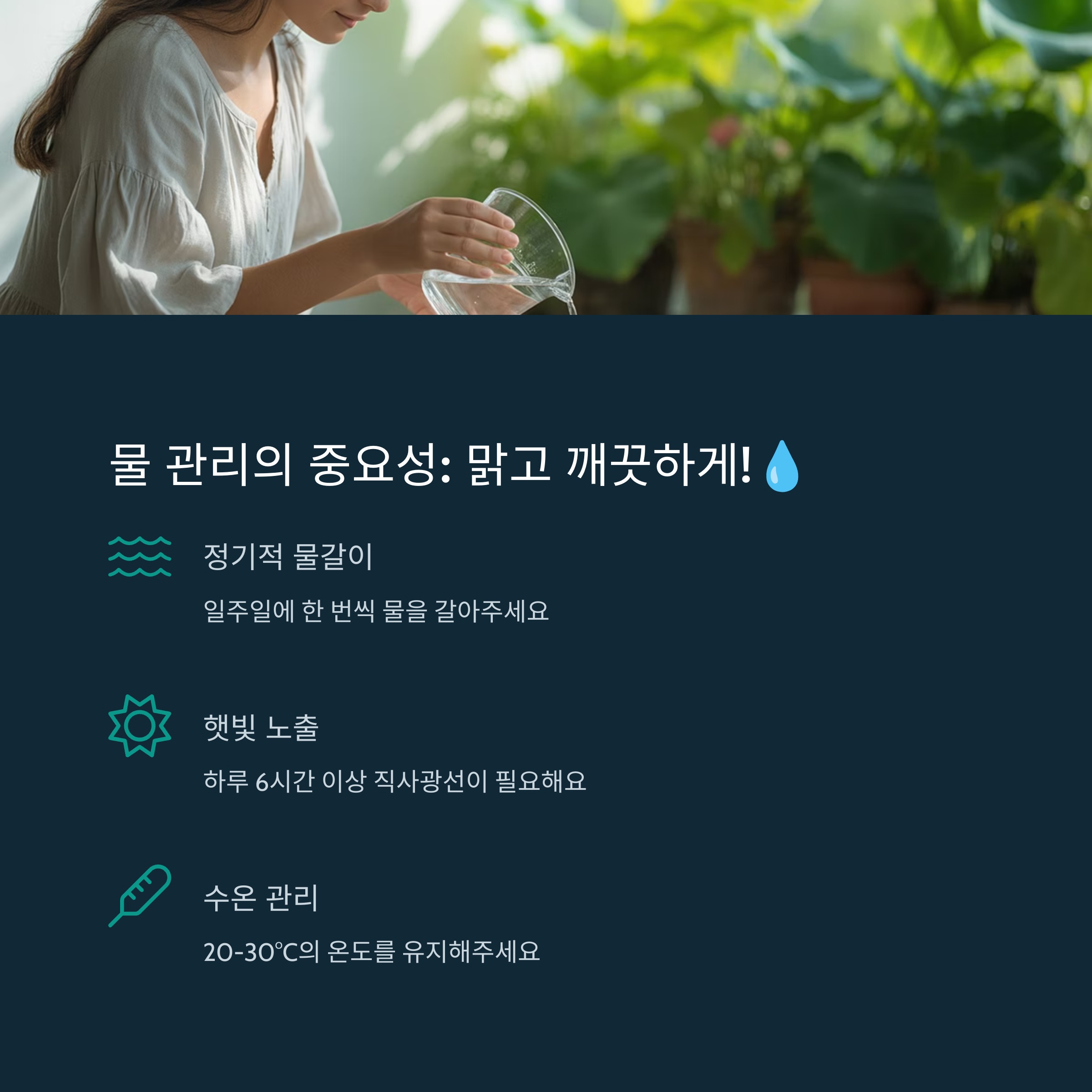 물 관리의 중요성: 맑고 깨끗하게!