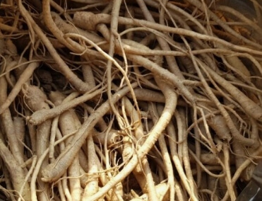 감기에 좋은 음식 BEST 10 도라지