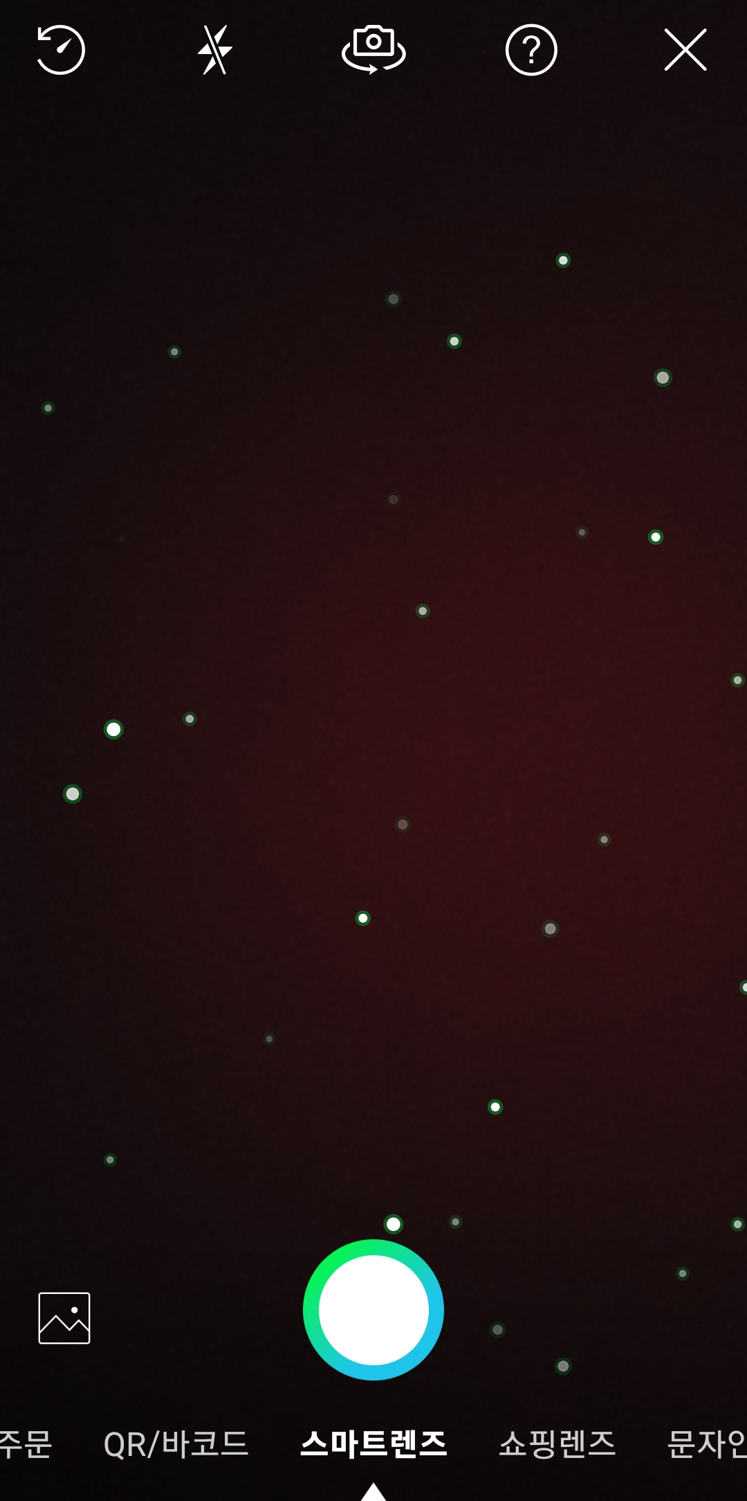 네이버 렌즈 실행 화면, 갤러리에서 사진 선택 가능