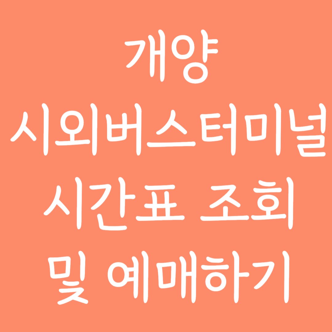 개양 시외버스터미널 시간표 조회 및 예매하기