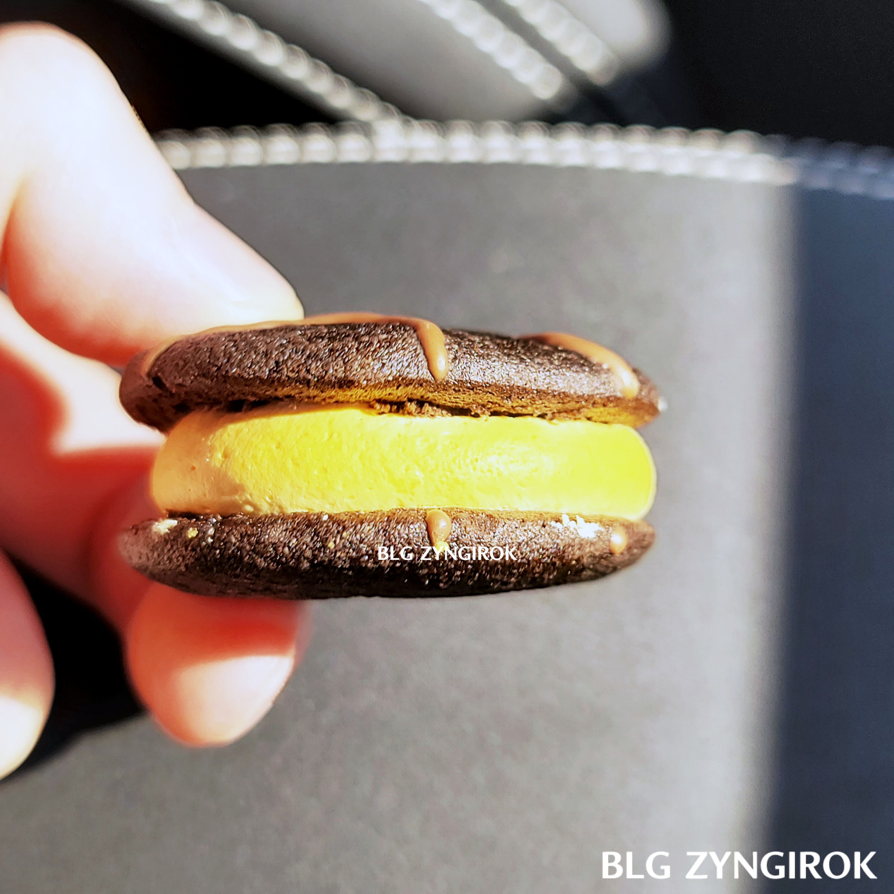 롯데 돌카롱 쁘띠 몽쉘 한라봉 크림을 옆면이 보이게 들고있다.