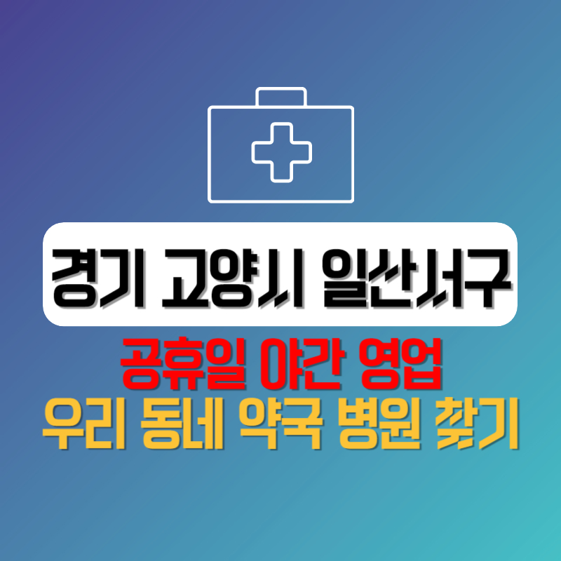 경기 고양시 일산서구 공휴일 야간 영업 우리 동네 약국 병원 찾기