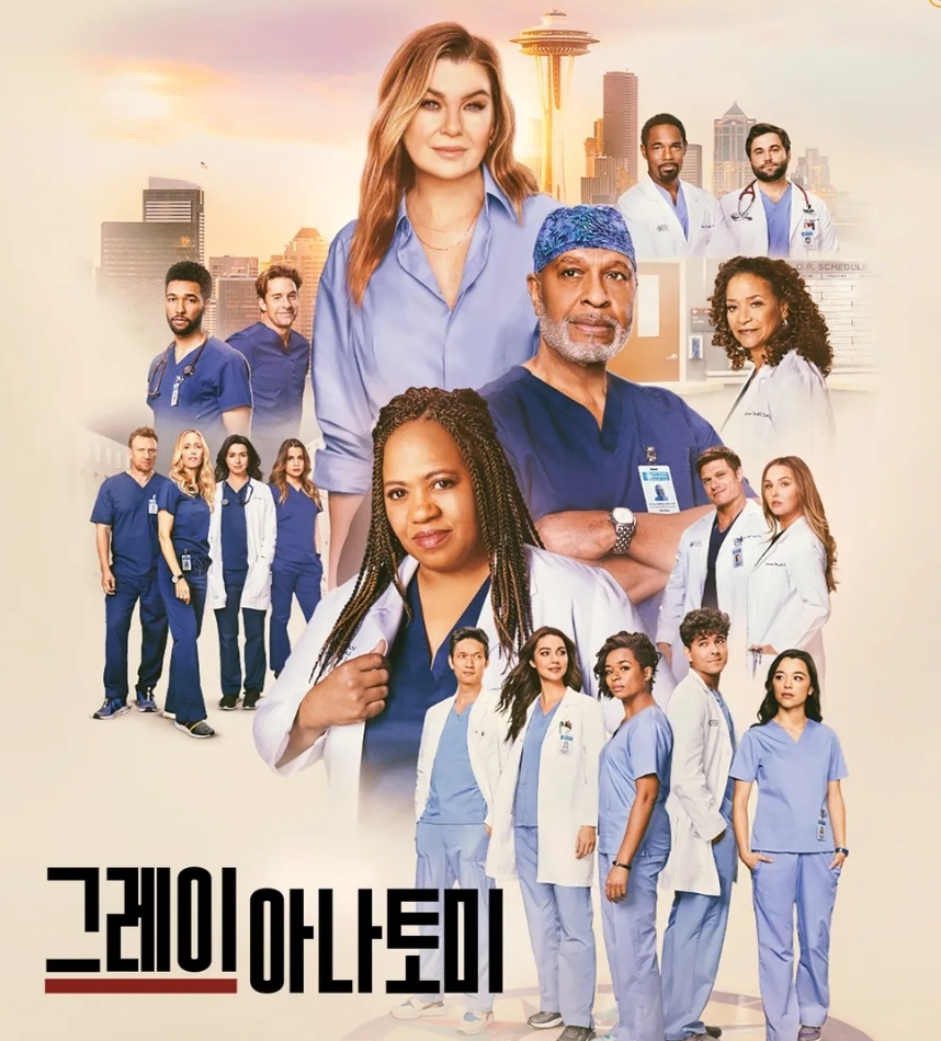 그레이 아나토미