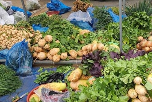 영암 가볼만한곳 베스트 10