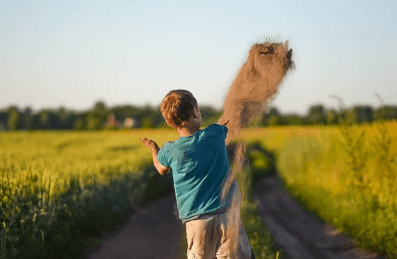 토마토 보관방법