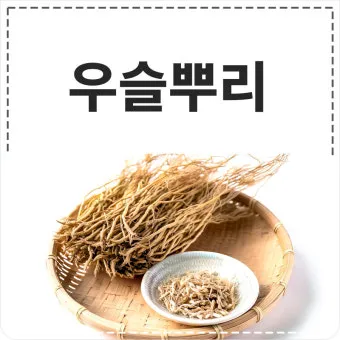 우슬뿌리 효능 부작용 먹는법 건강 활용 팁_6