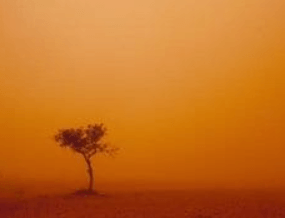 미세먼지 농도 확인 방법 및 대응 매뉴얼 대처 방법