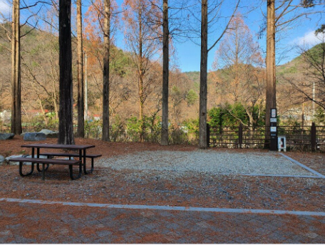 야영장 내부 이미지