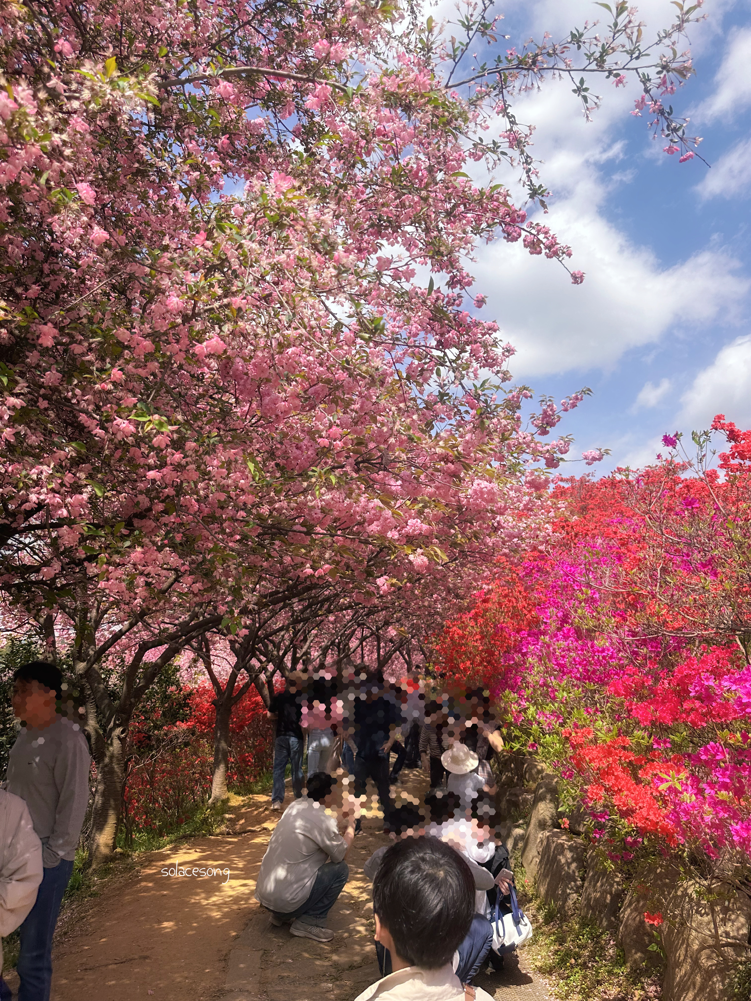 전주 완산칠봉꽃동산