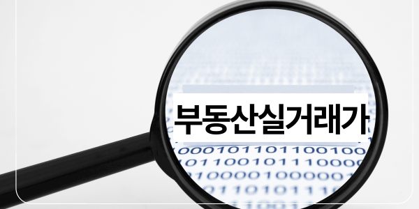 국토부 아파트 실거래가 조회5