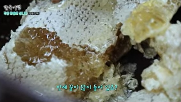 6시내고향-강원-인제-벌꿀