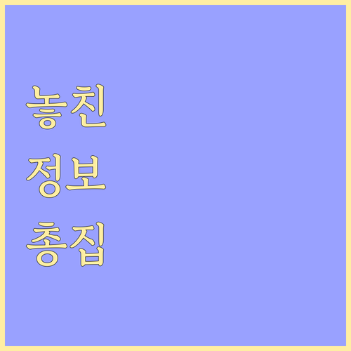 올리브영 오늘의 특가 확인 시간과 품..