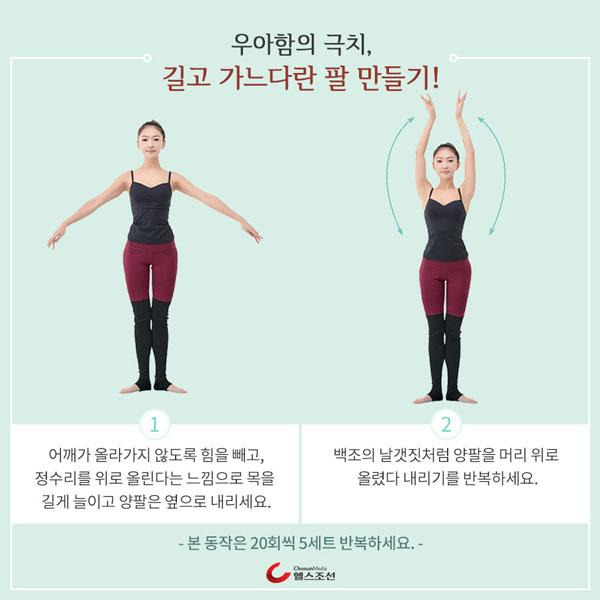 피트맨 애플아령
