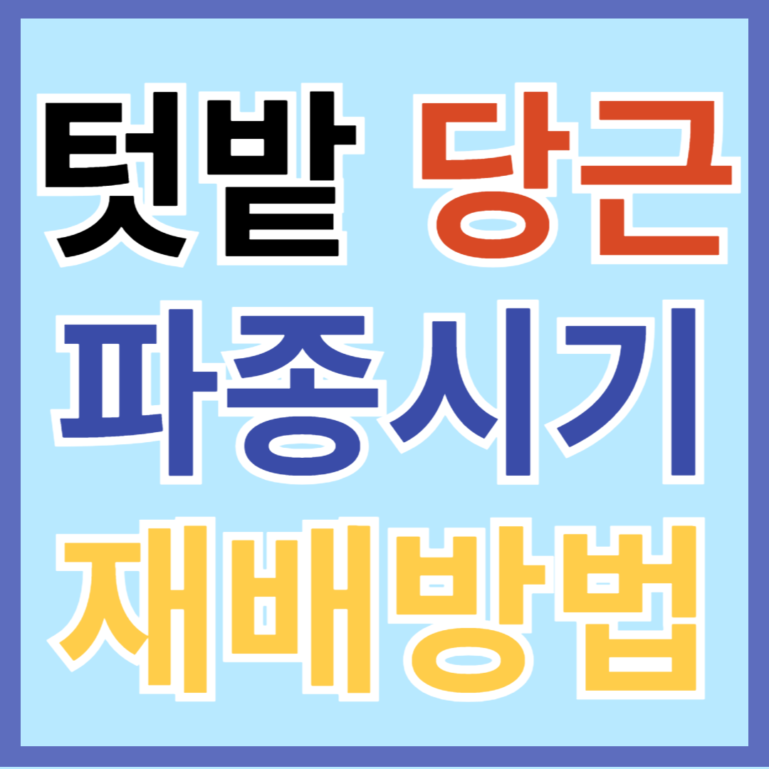 텃밭 당근 파종, 심는 시기, 재배 방법 및 효능 알아보기