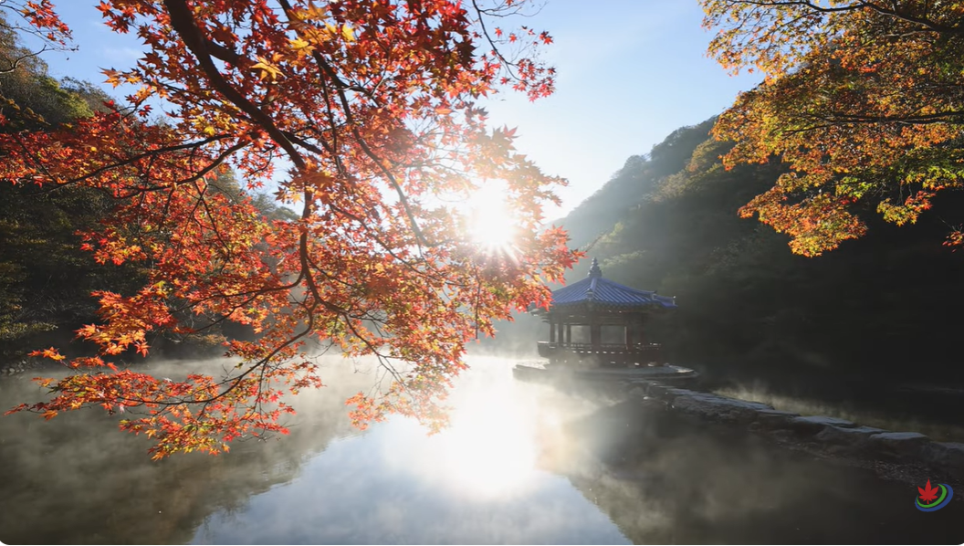 단풍 사진 명소 + 스마트폰 촬영 꿀팁 