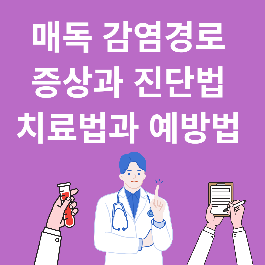 매독 감염경로&#44; 증상