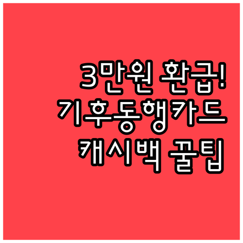 2026년 4~6월 기후동행카드 캐시..