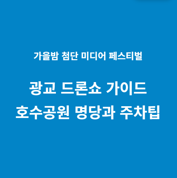 광교 드론쇼