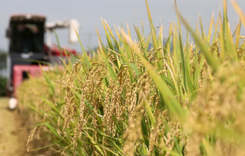 추분뜻-추분날짜-춘분과추분