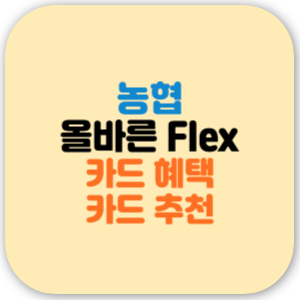올바른 플렉스 카드 할인 혜택