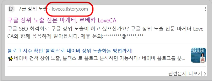 티스토리 주소 네이버 SERP 등장 부분