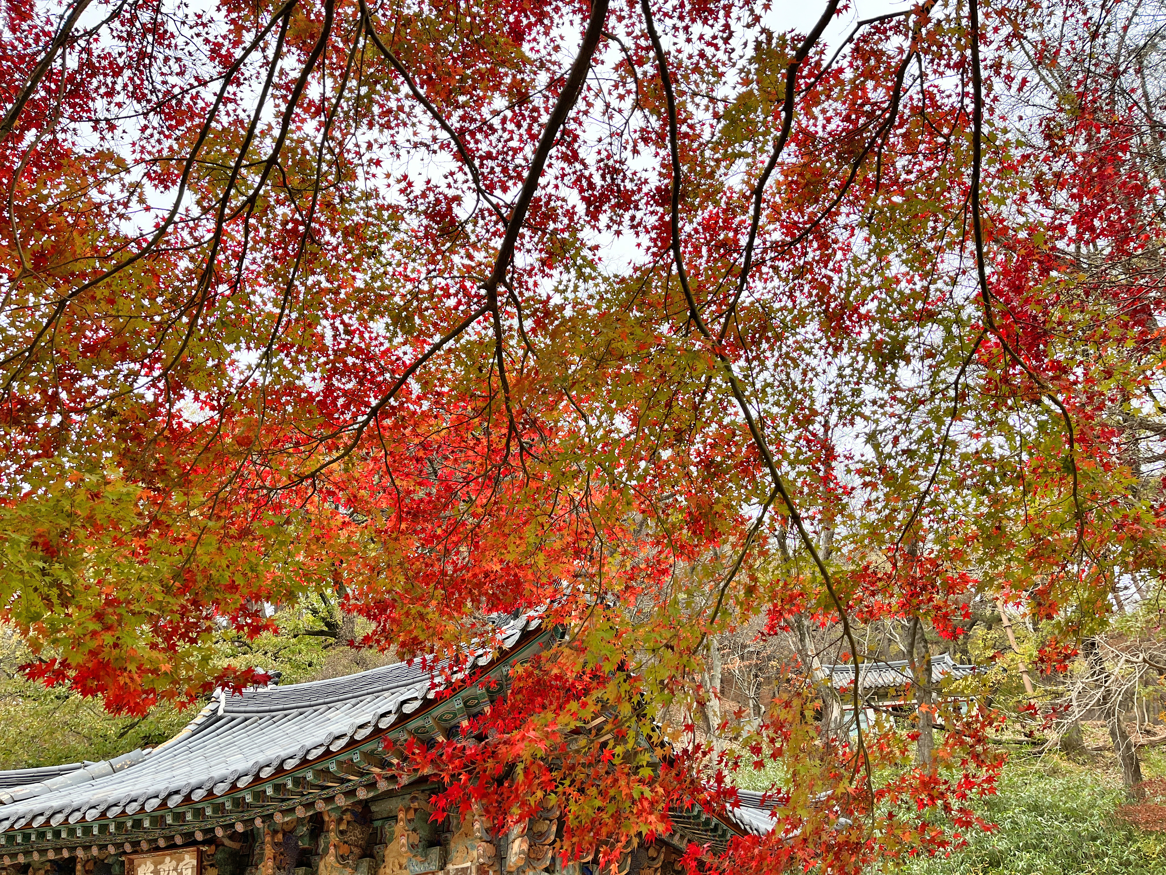 공주 마곡사