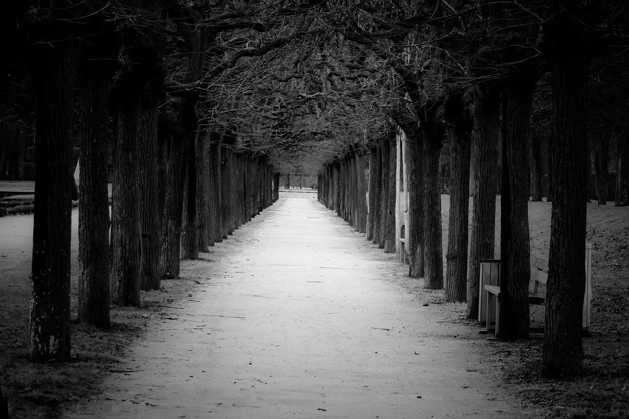 불교의 인과응보, 우리가 행동을 조심해야 하는 이유