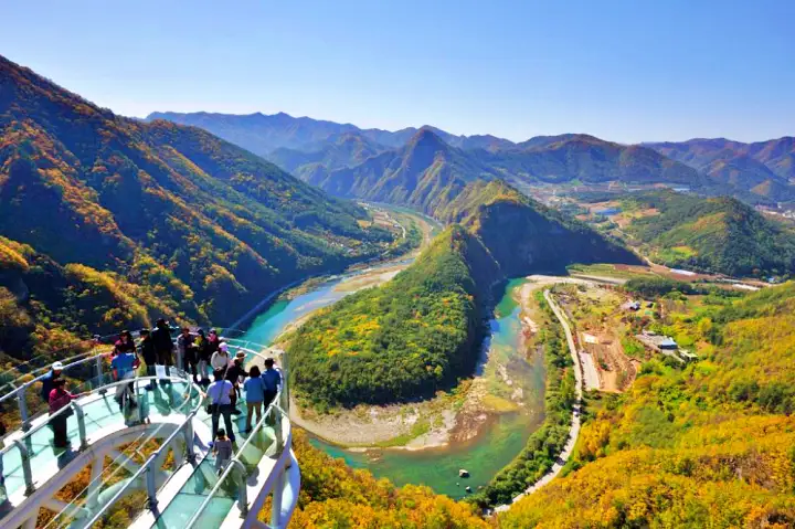 우리 캠핑 왔어요 강원 정선 오토 캠핑장 양떼목장 스카이워크 집와이어 액티비티 가볼만한 곳 추천