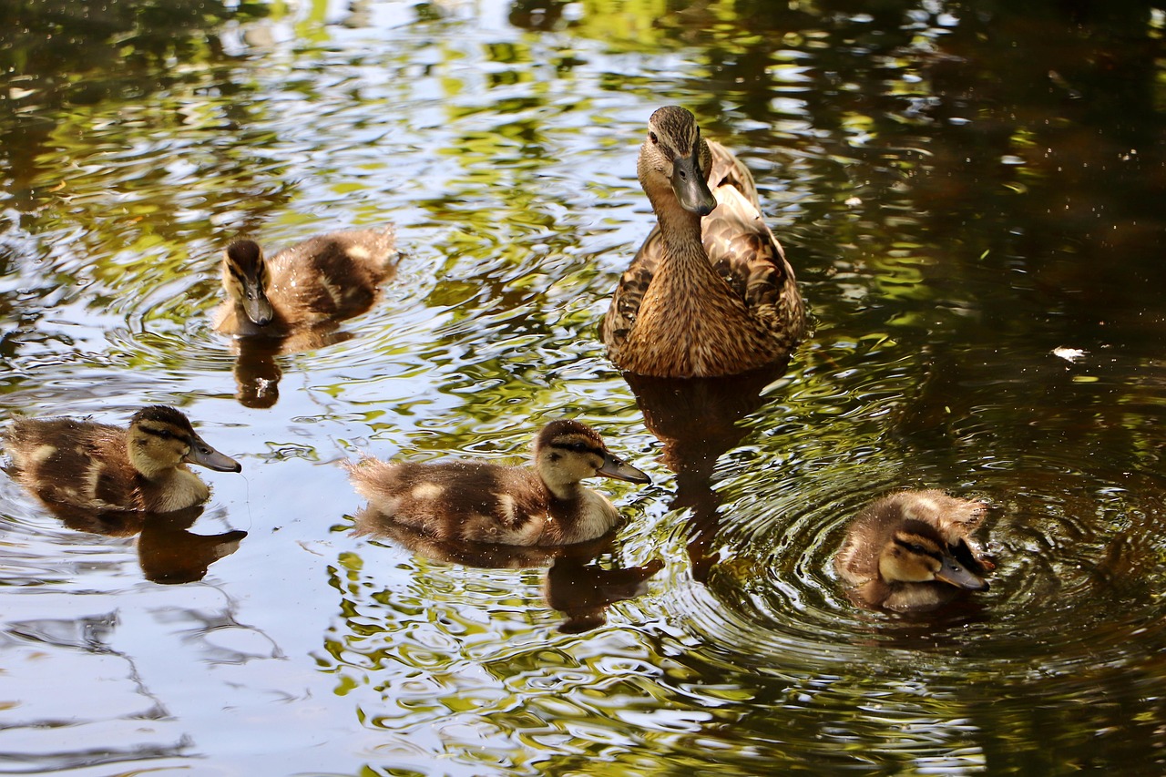 보청기 국가보조금 지원