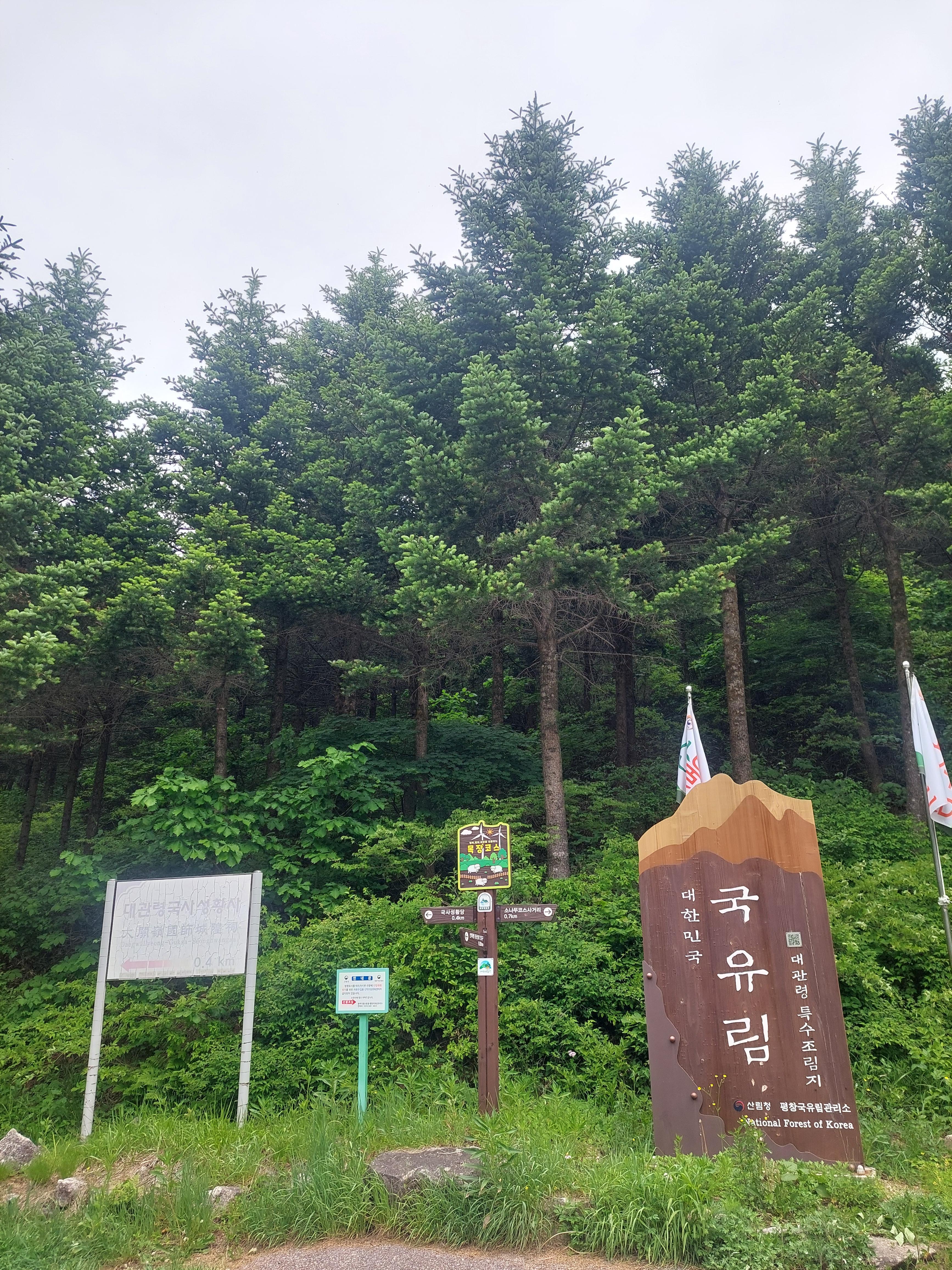 선자령