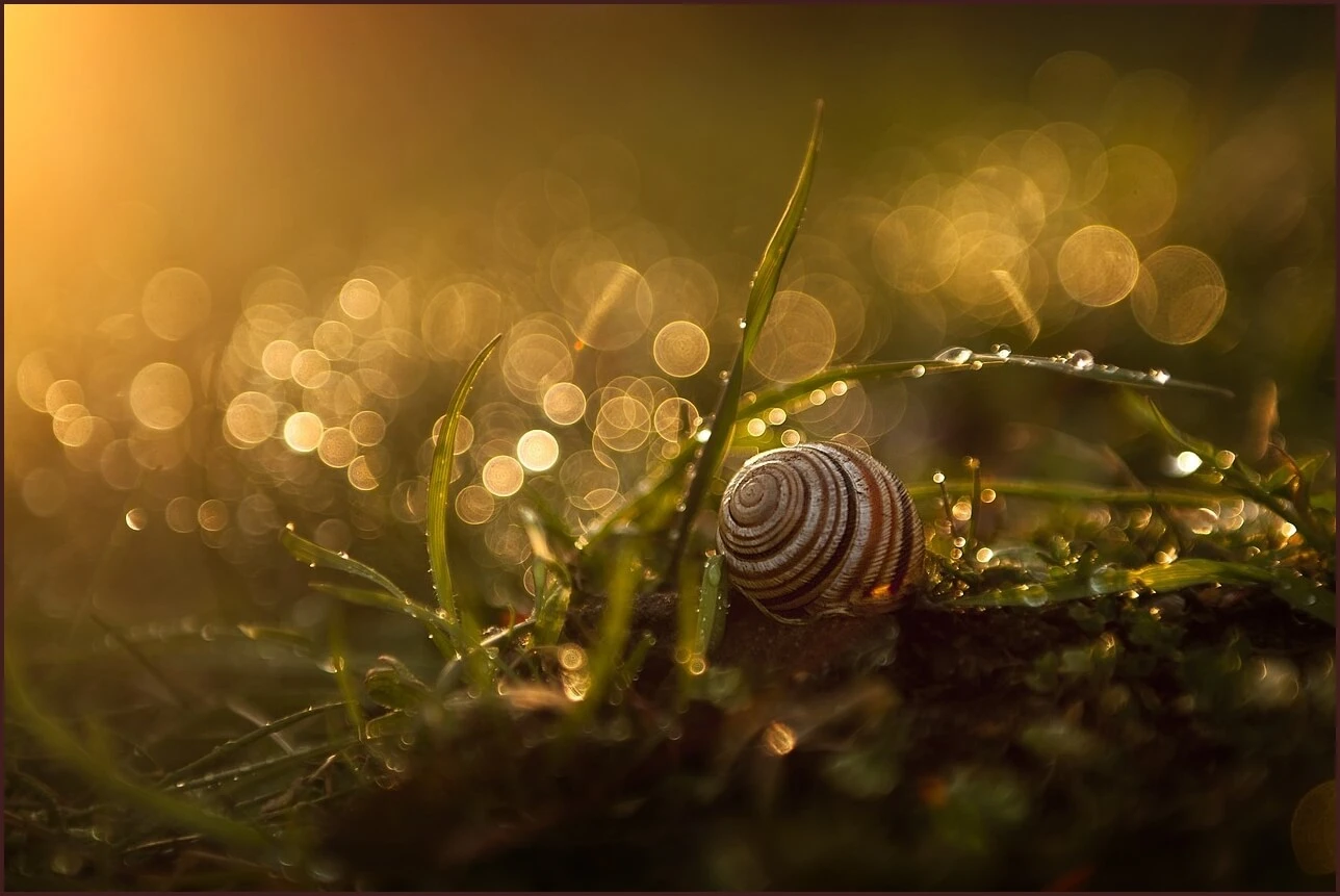 적금 이율 높은 은행