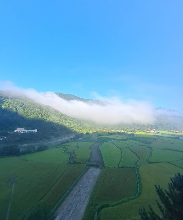 필그림하우스 아침 풍경