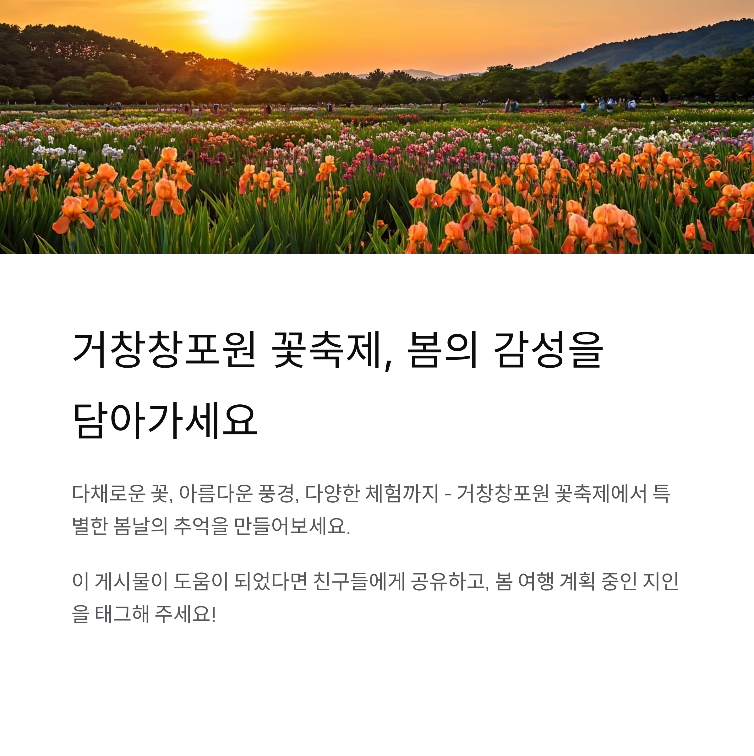 봄의 절정을 담은 거창창포원 꽃축제, 감성 가득 나들이 명소