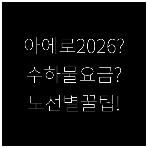 아에로멕시코 위탁수하물 2026년 최..