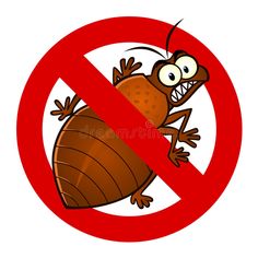 빈대 물린자국 : 빈대 퇴치법&amp;#44; 증상&amp;#44; 예방법