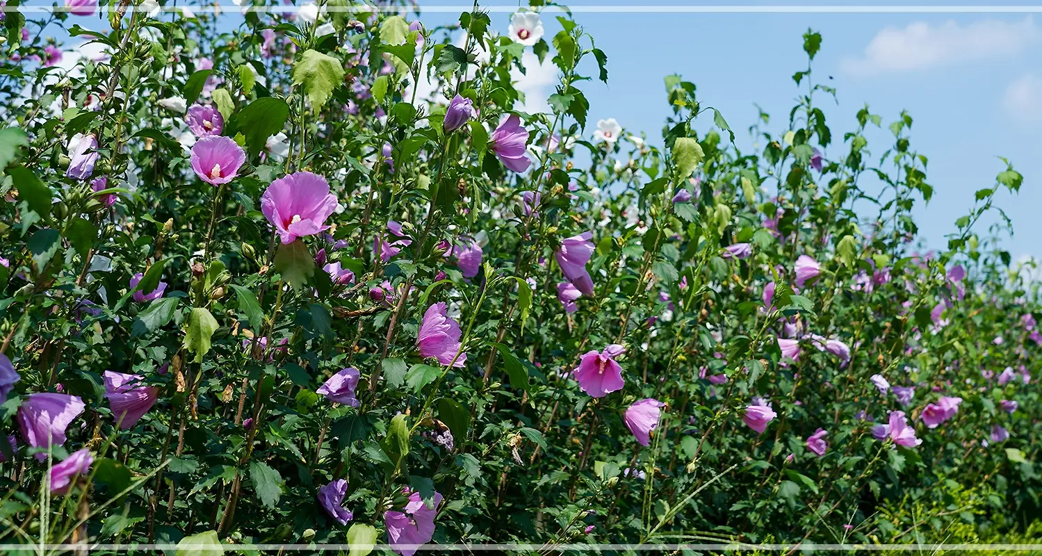 서울-식물원-입장료-운영-시간-할인