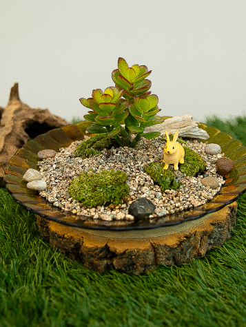 체험 프로그램 사진