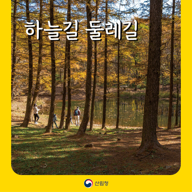 명품숲길 50선 &ndash; 강원도 영월군 하늘길 둘레길 완전정복