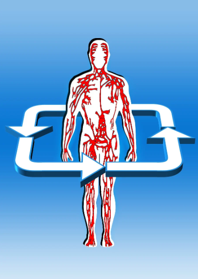 혈액순환을 개선하는 생활 속 건강관리 습관