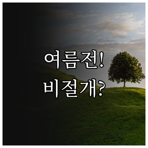 모발이식 여름 전에 받아야 할까, 비..