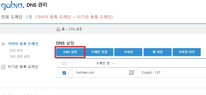 가비아 DNS설정