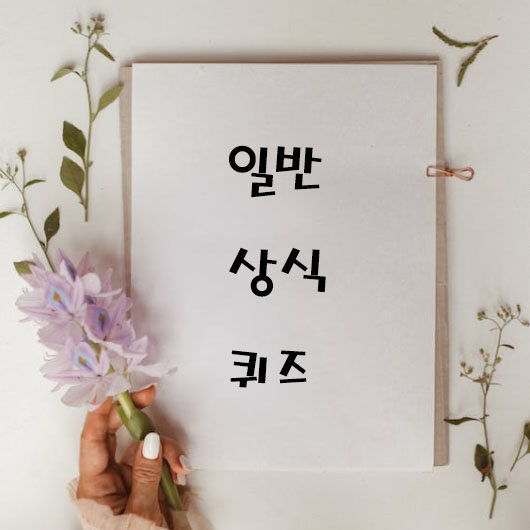 일반-상식-퀴즈