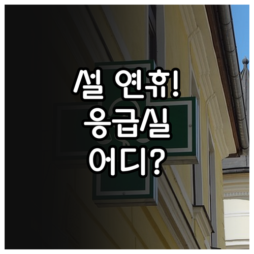 2026년 설 명절 응급 의료 기관 ..