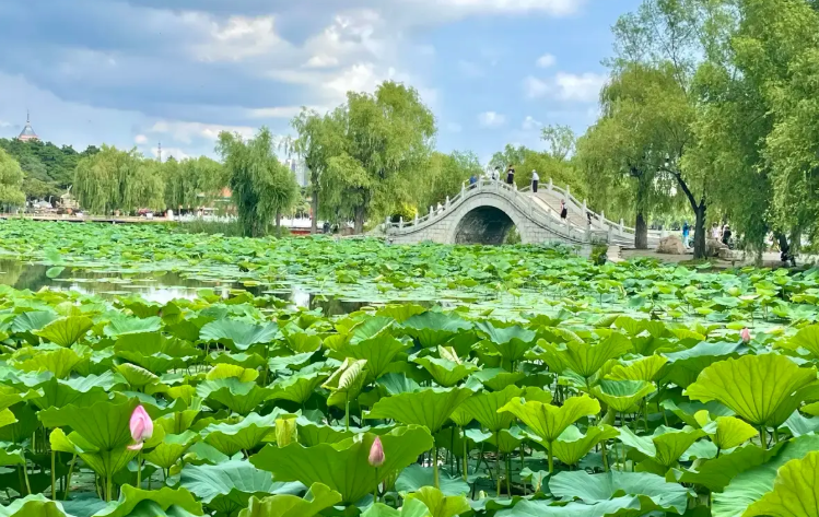 허베이성 난후공원