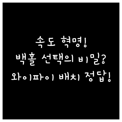 최고의 와이파이 속도를 위한 메쉬 백..