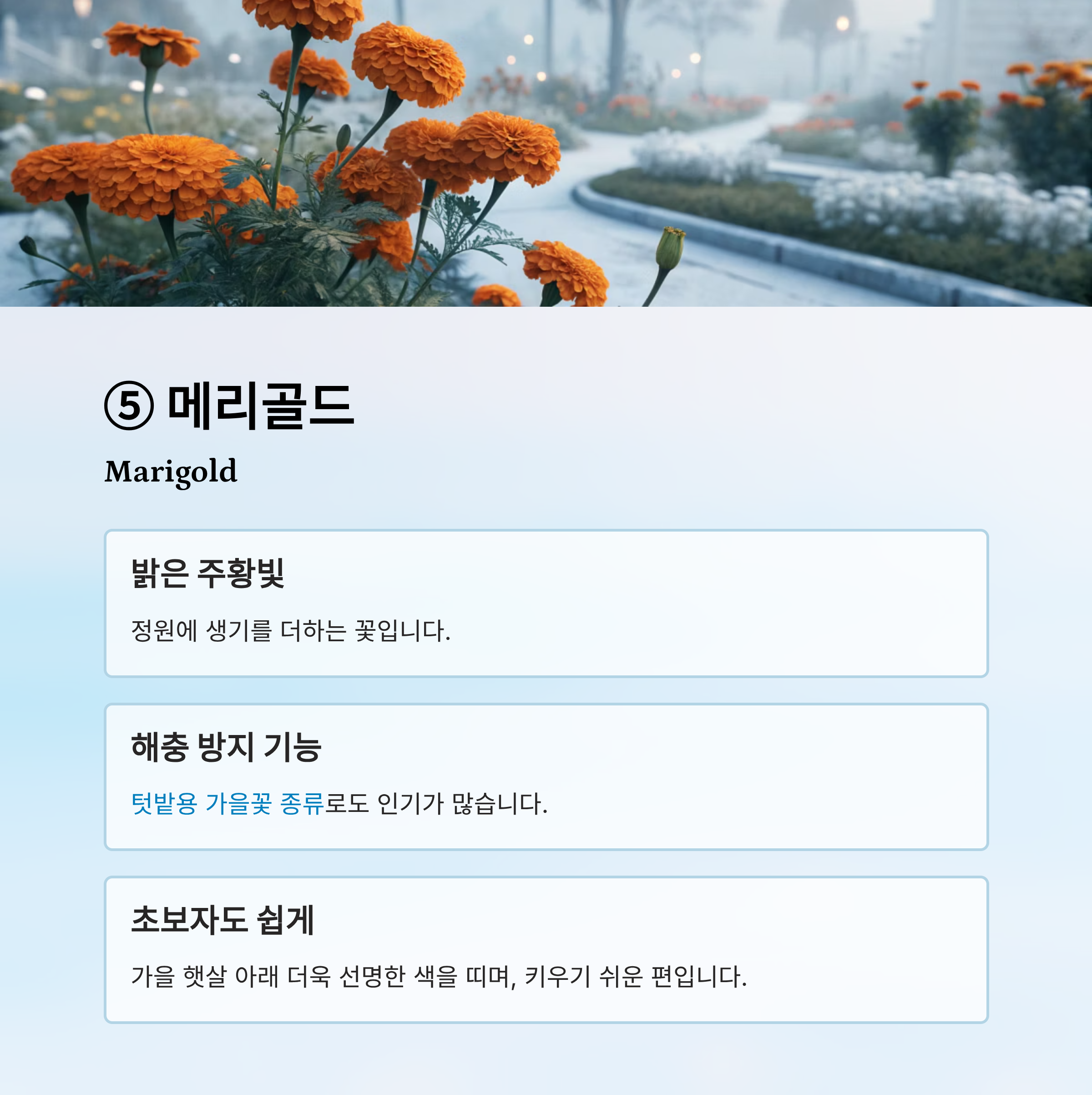 가을꽃 종류 알아보기