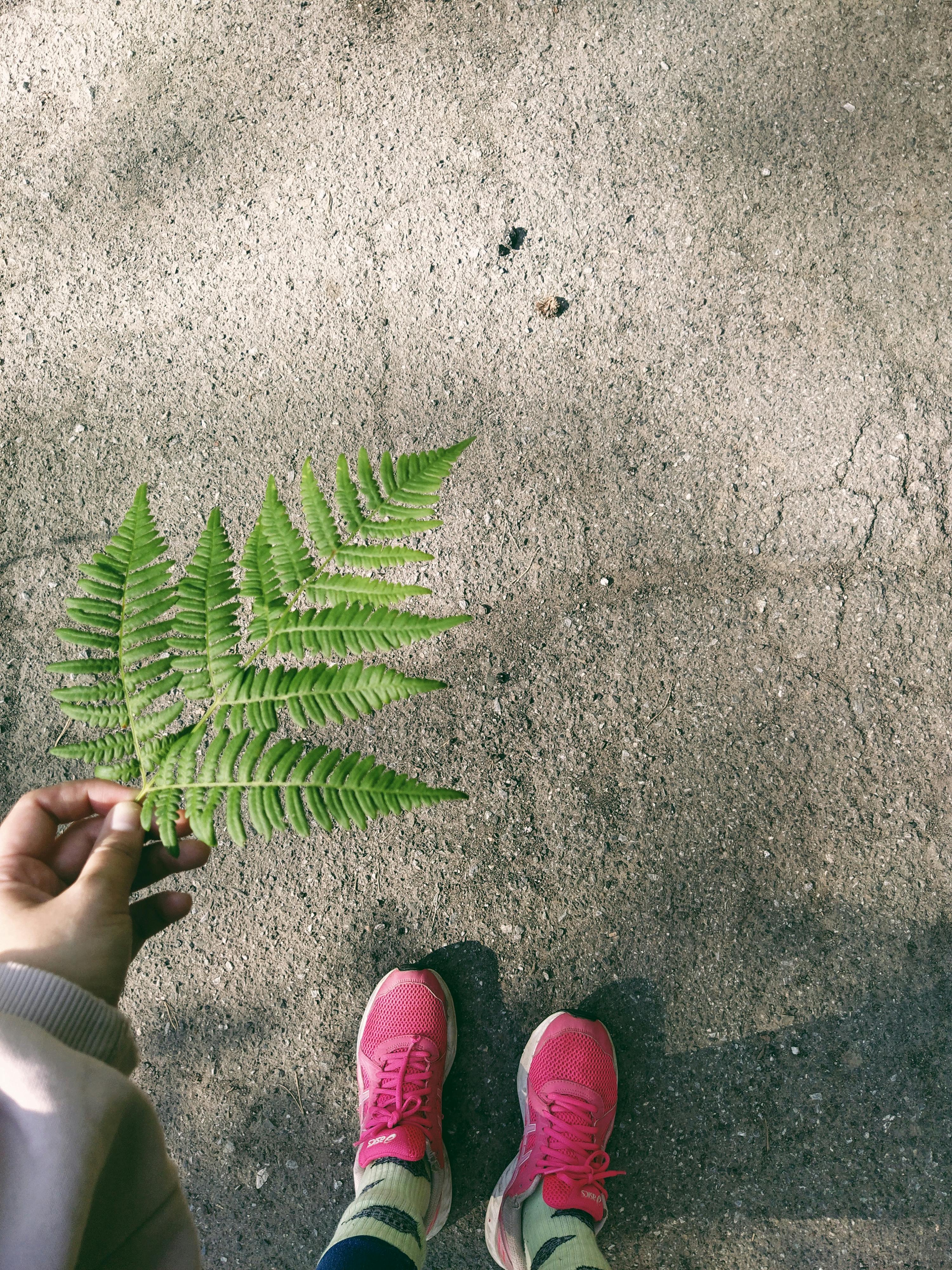 유독 손발이 차가운 수족냉증, 의심해야 할 질환과
완화방법