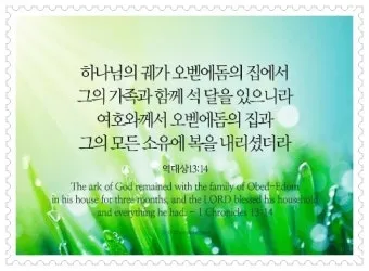 골로새서 2장 7절 묵상 - 그 안에 뿌리를 박으며 세움을 받아 교훈을 받은 대로 믿음에 굳게 서서_19